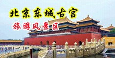 大黑逼视频日本一道本视频大黑逼视频中国北京-东城古宫旅游风景区